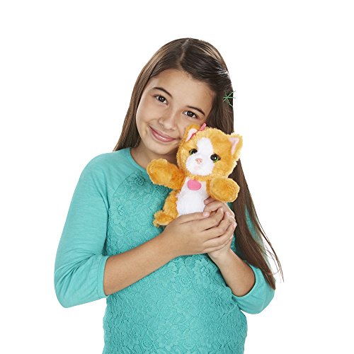 image for FurReal Friends Li'l Big Paws Peek-a-boo Daisy Pet, Orange,white,light