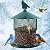 Metal Bird Feeder for Outside, Hanging Bird Feeders Squirrel Proof, 4 Lbs Capacity Iron Mesh Durable Wild Outdoor Birdfeeder with 6 Perches for Finch Cardinals,Gifts for Birds Lovers- Green