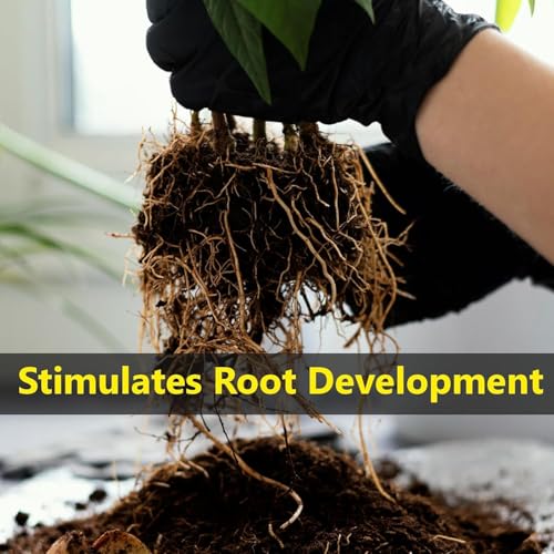 Image of 100% Natural Fertilizer Sticks, Magic Stick Plant Food for Indoor & Outdoor Plants, natural fertilizer for Home Garden Plants | Plant Growth Booster Healthy (40pcs-Plant-stick+100ml booster)