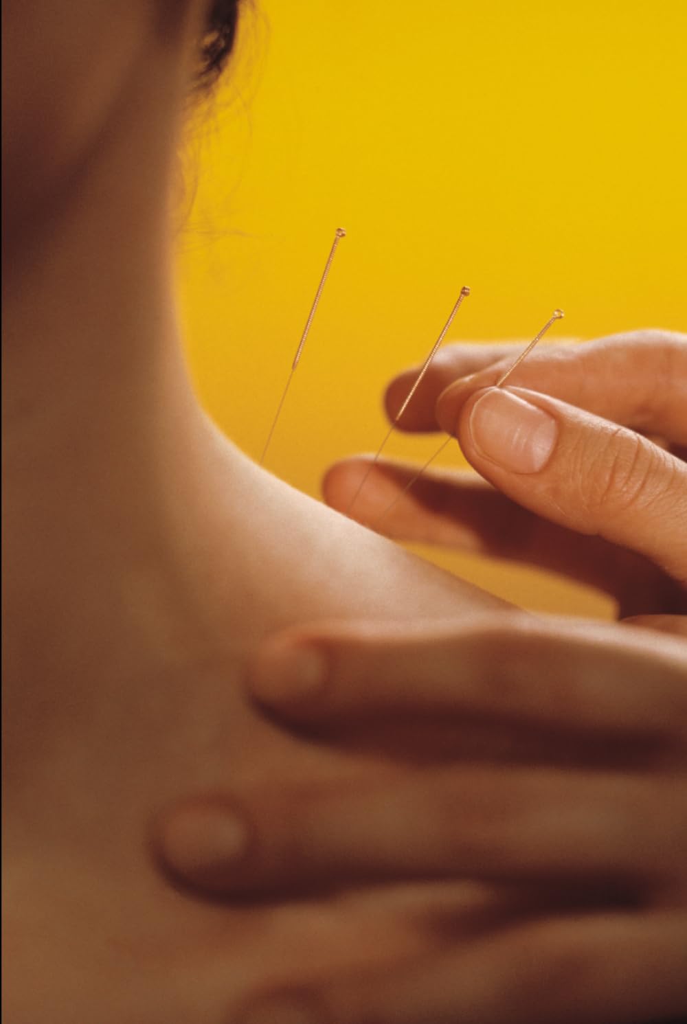 The Sensitive Plant (Mimosa Pudica): Traditional Uses, Wellness, and Men's Health: The plant that shrinks when touched, This is very useful for men.