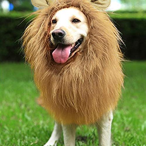 Disfraz para perro con melena de león