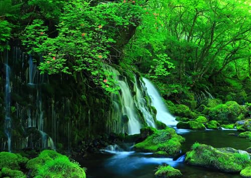 Fond photo cascade de forêt tropicale pour décorer un anniversaire nature