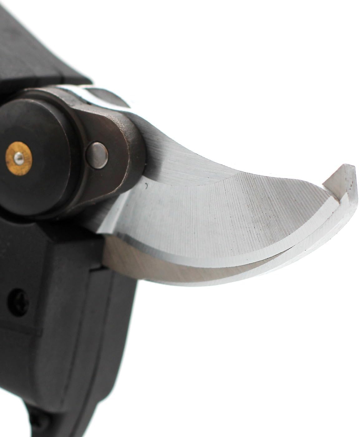Forbice Da Potatura Elettrica Professionale Con 2 Batterie 48V – Taglia Rami Fino A 25mm, Valigetta Inclusa, 2 Anni Di Garanzia, Autonomia 6-7 Ore