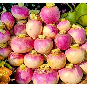 Turnip Seeds for Planting – 200 N...