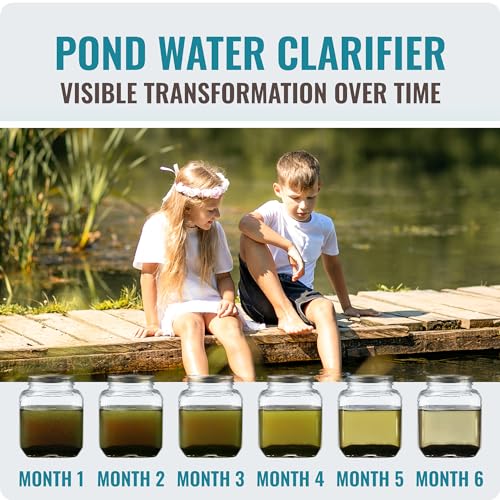 Pond Clear Water Treatment - 16 Pack for 8 Months of Pond Cleaner Supply - Pond Clarifier for Outdoor Ponds – 100% Natural Pond Bacteria Packets - Made in The USA - Safe for Fish, Pets, and Swimming - Image 3