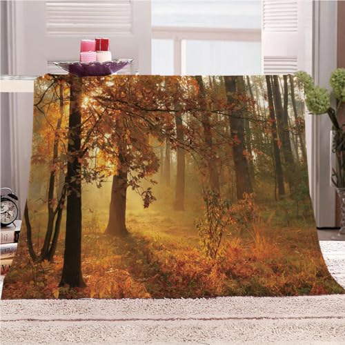 GSKOQD Mantas para Cama De Franela Invierno para Infantil Y Adulto 130X150Cm Manta Polar De Felpa De Microfibra Suave para Sofá, 3D Paisaje De Bosque Soleado De Otoño Patrón, Cálida Y Transpirable