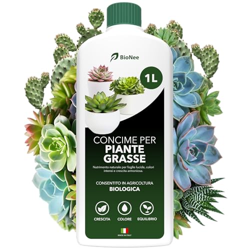 BioNee Concime Biologico per Piante Grasse 1L – Nutrimento Naturale per Cactus e Succulente | Favorisce Colori Intensi, Foglie Lucide e Crescita Armoniosa