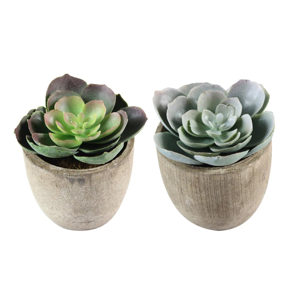 PRETYZOOM 2pcs Artificial Faux Succulent Green Plant Greenery Plants Fake Corn Fake Succulent Faux Plant Bonsai Mini