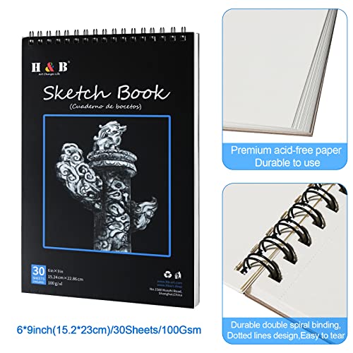 H & B 40Pcs Sketching Pencils Set Drawing Pencil Set - Sketch Book,Drawing Pencils,Charcoal Pencils,Graphite Pencil,Roll Up Leather Carry Pouch For Kid Adults Students Beginners Artists Professional #TOP5