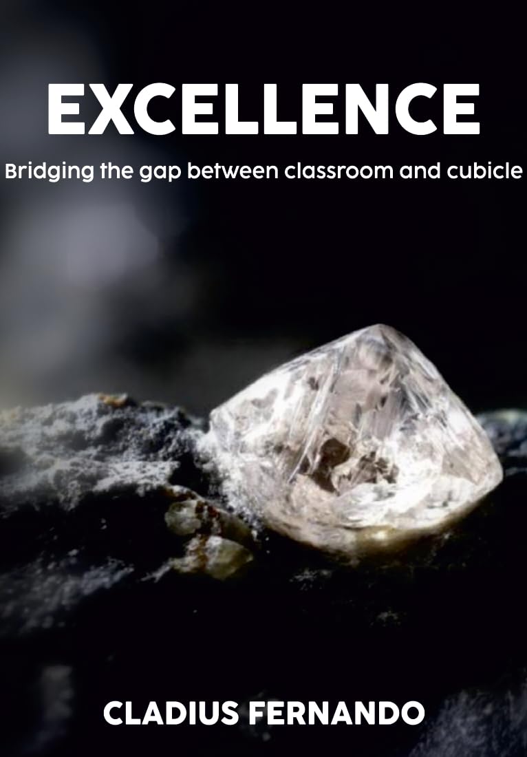 Excellence: Bridging the gap between classroom and cubicle eBook ...