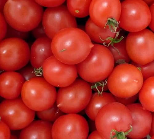 Tomate Cherry Indeterminate Riesentraube FBA-4757 (Rojo) 25 Sin OMG, Semillas de reliquia