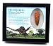 Spinosaurus Dinosaur Tooth Fossil 1.904 inch w/Info Card 17881
