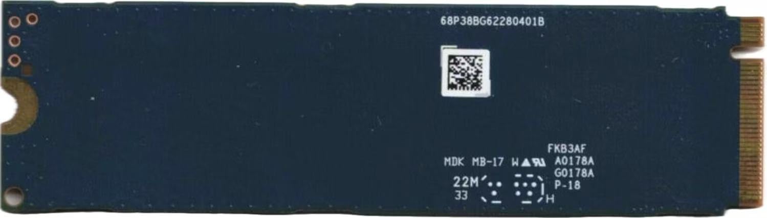 OEM NewKIOXIA - Unidad interna de estado sólido SSD BG6 PCIe Gen 4x4 M.2 PCI-e NVME, 256 GB, factor de forma 2280, llave M, compatible con PS5, laptop y computadora de escritorio Gen4