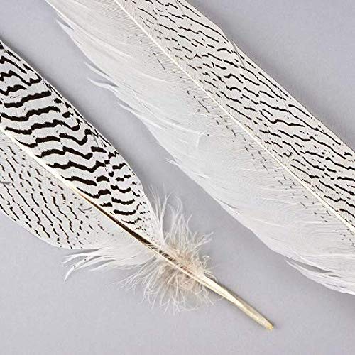 1 Pc Silver Natural Pheasant Feathers 10''-16''