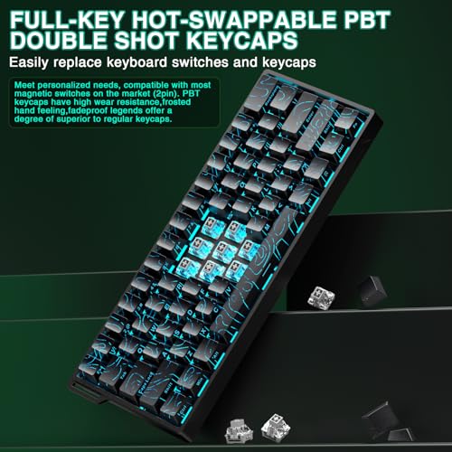 Image of Aula WIN60 HE - 60% Mechanical Gaming Keyboard Wired, Hall Effect Magnetic Switch Hot Swappable, Adjustable Actuation RT Mode, 8000 Hz Polling Rate, RGB Keyboard 60 Percent Compact Design for PC