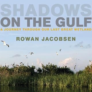 Shadows on the Gulf Audiobook By Rowan Jacobsen cover art