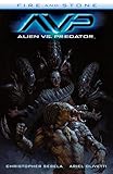 Alien vs. Predator: Fire and Stone