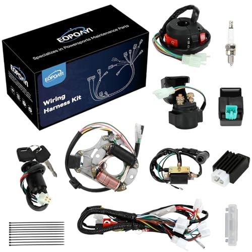 EOPOAYI Complete Wiring Harness Kit Compatible with Tao tao Coolster 125cc Chinese ATV 4 Stroke Quad 4 Wheeler Parts with Starter Solenoid Relay Ignition Coil CDI Box Stator Voltage Regulator