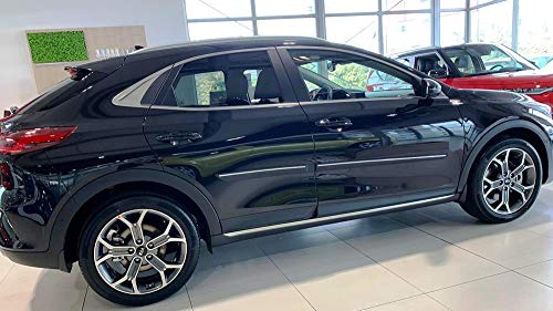 Spangenberg Listelli di protezione laterali neri