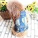 POPETPOP Pet Denim Vest for Small Medium Dogs Stylish Dog Hoodie for Fashionable Jean Jacket for Puppies Xs and Skin