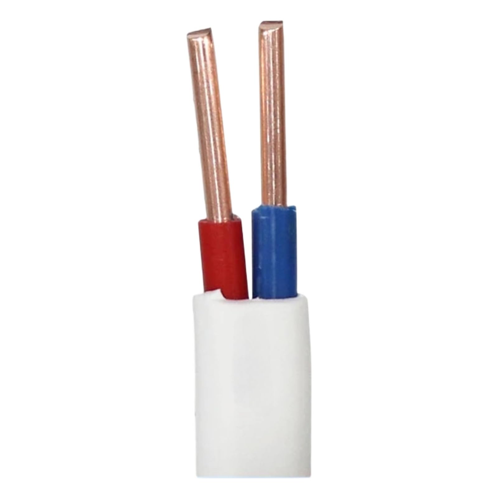 2 Cavi con gabbia di rame solido 3(-2C; 10m; 16 AWG)