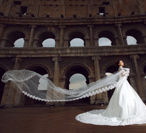 Loveshop 1 Layer Tulle Scalloped Edge Wedding Bridal Veil with Applique 5.0 meter-white