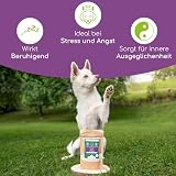 Wolfsbacher Natürliches Beruhigungsmittel für Hunde | Mit Hanf bei Stress und L-Tryptophan für Ruhe und Entspannung | Anti-Stress Pulver für Hunde