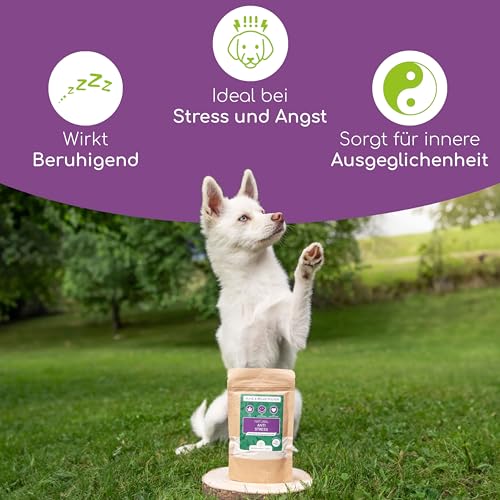 Wolfsbacher Natürliches Beruhigungsmittel für Hunde | Mit Hanf bei Stress und L-Tryptophan für Ruhe und Entspannung | Anti-Stress Pulver für Hunde