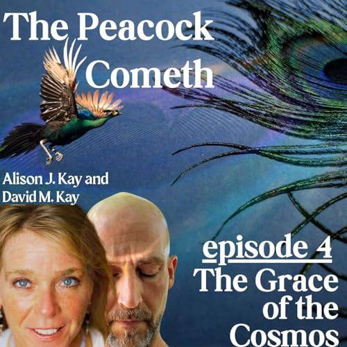 Episode 4: The Grace of the Cosmos