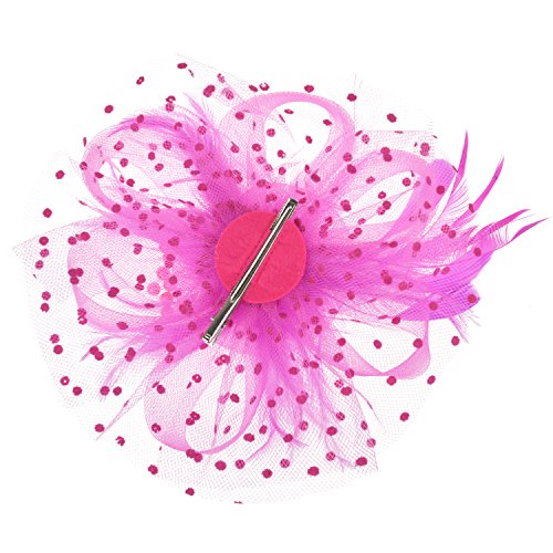Image of DRESHOW Fascinators Hat Flower Mesh Ribbons Feathers on a Headband and a Clip Tea Party Headwear for Girls and Women