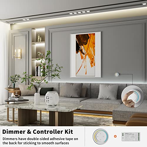 Tira LED COB PAUTIX 5m Blanco 6500K con Control Remoto miniatura 7