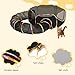 Outdoor Cat Enclosures with Tunnel, Portable Cat Play Tent for Indoor Outdoor, Cat Playpen Enclosed for Cats Rabbits and Small Animals, Rainbow Color