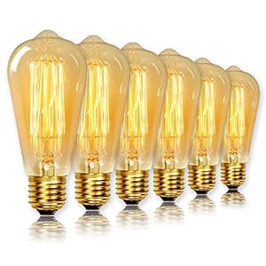 ST64 Vintage Light Bulbs with E27 Edison Screw Cap, Squirrel Cage Shaped Filament Bulb, 2700K Warm White Dimmable, Pack…