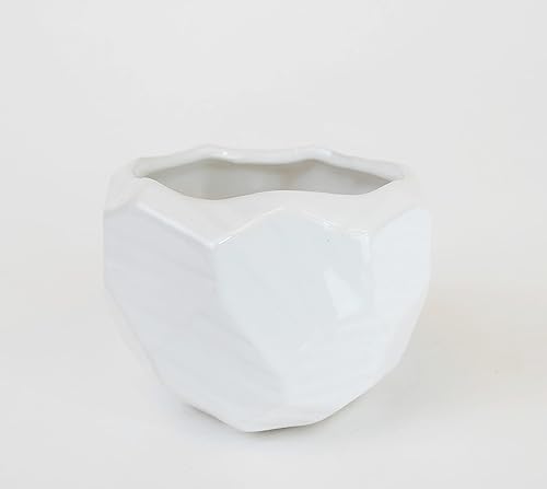 Miniatura 5 de Athena's Garden Hoya Kerrii en forma de corazón 1 planta viva suculenta blanca arreglo de maceta de cerámica