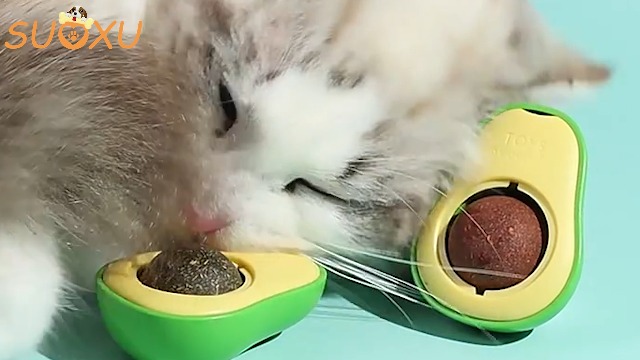 Giocattoli Per Gatti,14 Confezioni Giocattoli Con Erba Gatta