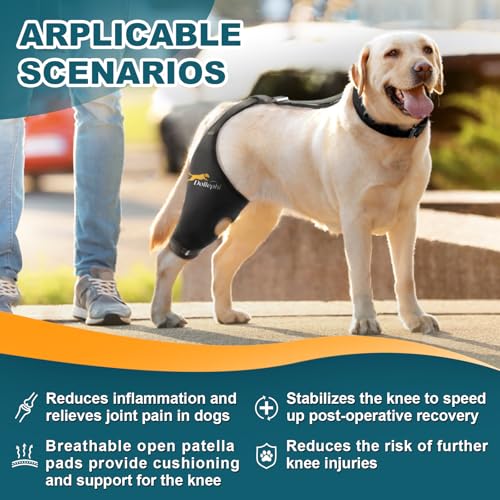 Dollephi Hunde-Kniebandage für gerissenes ACL-Hinterbein, Unterstützung bei Patella-Luxation oder Arthrose, Kreuzbandverletzungen, Aussparung, rutschfeste Bandage fördert die Patella-Stabilität