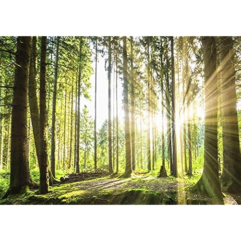 decomonkey | Photo Wallpaper Forest | 350 x 256 cm | Landscape Nature Trees Sun Wall Mural Home Decoration Non-Woven Murals Wall Art Modern Design Art Print Wood | Bedroom Living Room | Green Brown Cover