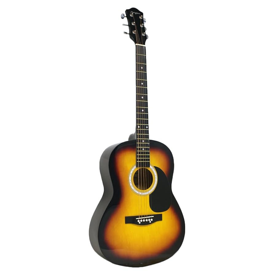 マーティン・スミス Ｗ-100-SB-PK アコギ アコースティックギター マーティン・スミス W-100-SB-PK アコギ アコースティック