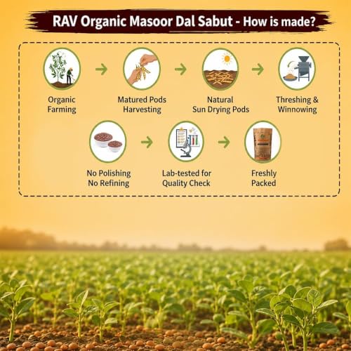 Image of Rav Organic Sabut Masoor Dal 1 kg | Whole Lentils | Protein Rich | Unpolished | Gluten Free | Chemical Free Certified Organic Dal