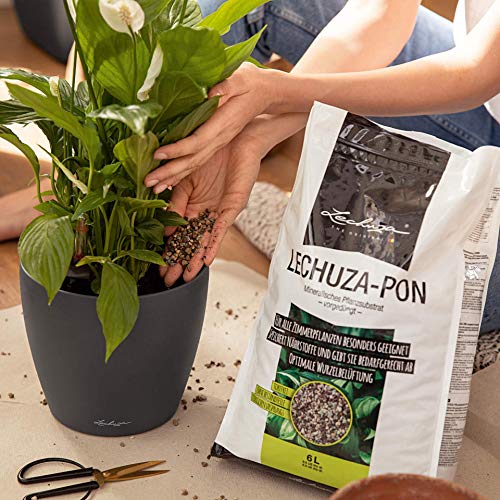 Lechuza Pon Plantsubstraat, 6 liter, neutraal - Image 4