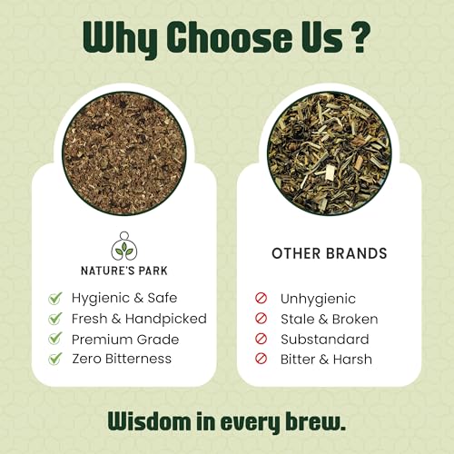 Image of Nature's Park - Mint Green Tea - 100gm Loose Leaves - Supports Digestion & Boosts Immunity - Stress Relief & Relaxation - Cool & Refreshing - Made with 100% Loose Leaf & Mint - Peppermint Herbal Tea