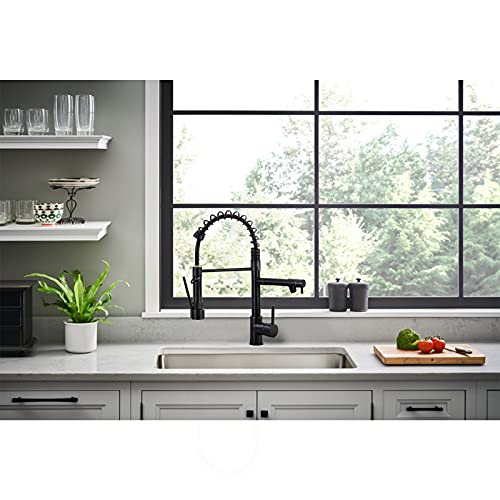 Qomolangma Commerical Kitchen Faucet With Pull Down Sprayer, Single Handle 2 Spout Spring Kitchen Sink Faucet With Lock, With Deck Plate, Matte Black #TOP3