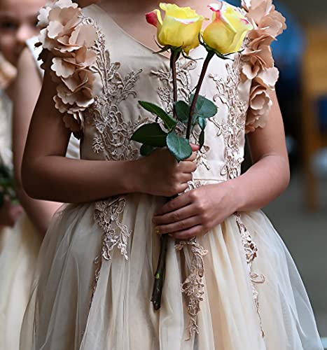 Weileenice Flower Girl Lace Dress Pageant Kids Wedding Christmas Holiday Party Dresses3