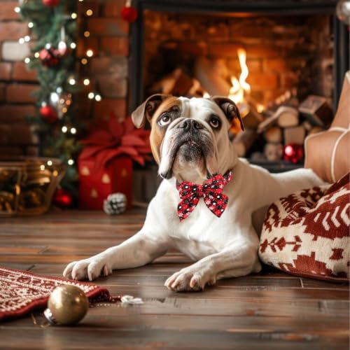 Hundehalsband Weihnachten, 2 Stück Weihnachtshalsband Hund, Fliege Hund Weihnachten,Niedliches Karomuster, Hunde Weihnachtskostüm, Haustier Halsband für Klein Mittlere Groß Hunde Katzen Welpen(L)