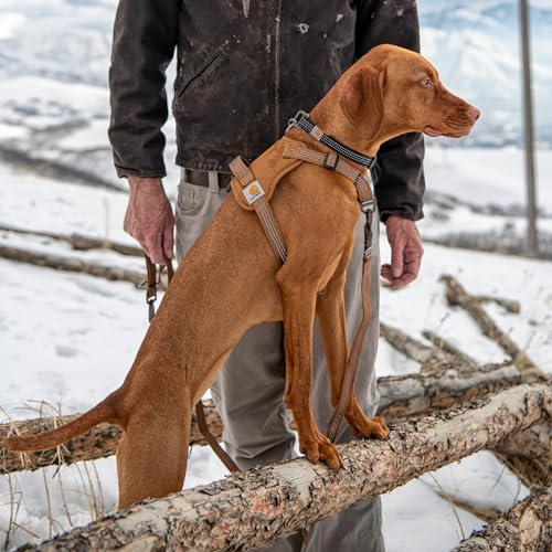 Carhartt Nylon Duck Hundegeschirr, kein Ziehen, voll verstellbares Hundegeschirr mit schnell kontrollierbarem Griff und reflektierenden Akzenten, Deep Wine, Größe M