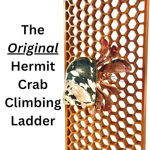 Image of Lucky Critter Hermit Crab Ladder Climbing Toy | Hermit Crab Tank Enrichment Decor | Hermit Crab Decoration Accessories Supplies Toys Ornaments