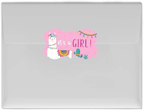 Vista 92 de Andaz Press Fiesta de llama y cactus, recuerdos de fiesta de bálsamo labial, bálsamo de llama, paquete de 12, decoración temática bohemia de llama