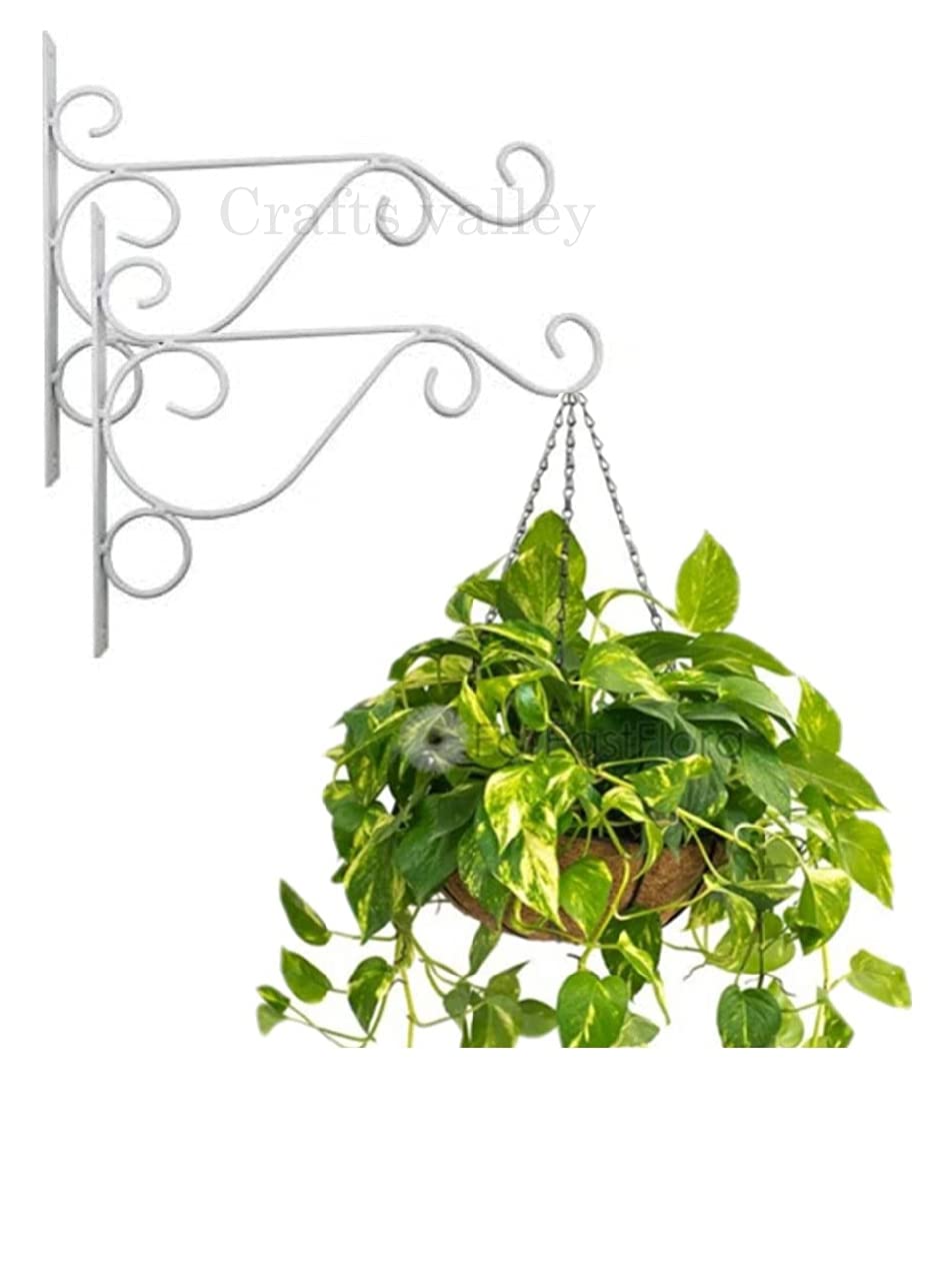 Craftr Deco Hanging Wall Bracket Hanger Modern Design Plant Hooks for Garden Balcony Home Kitchen Office Corridor. Set of 2 (White) (B09FK5JJXW) Amazon Price History, Amazon Price Tracker