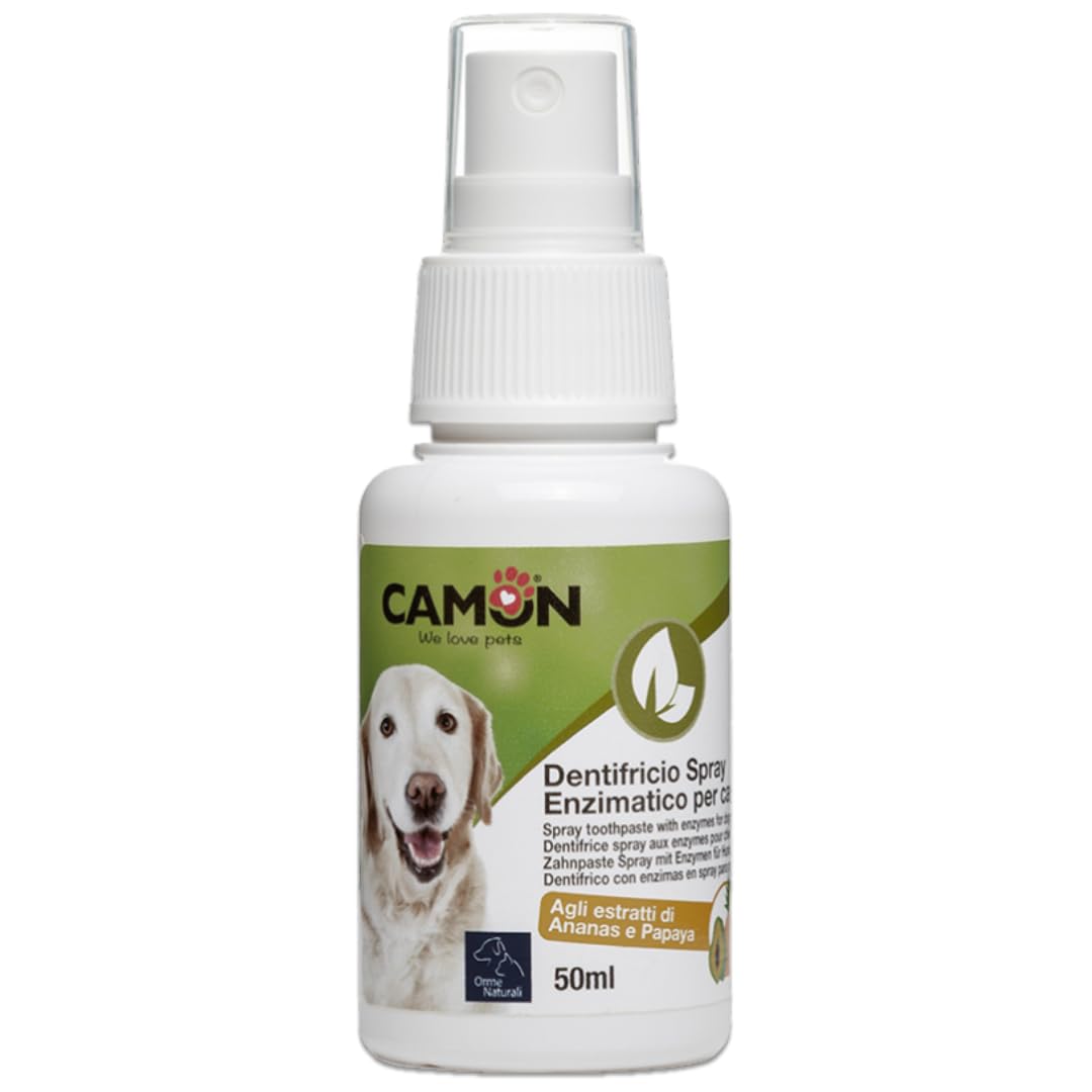 Camon - Enzymatisches Zahnpasta Spray - G866 1 Spray 50,00 ml