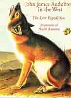 洋書 CLASSIC NATURAL HISTORY PRINTS MAMMALS 洋書 CLASSIC NATURAL HISTORY PRINTS MAMMALS Lot - Classic